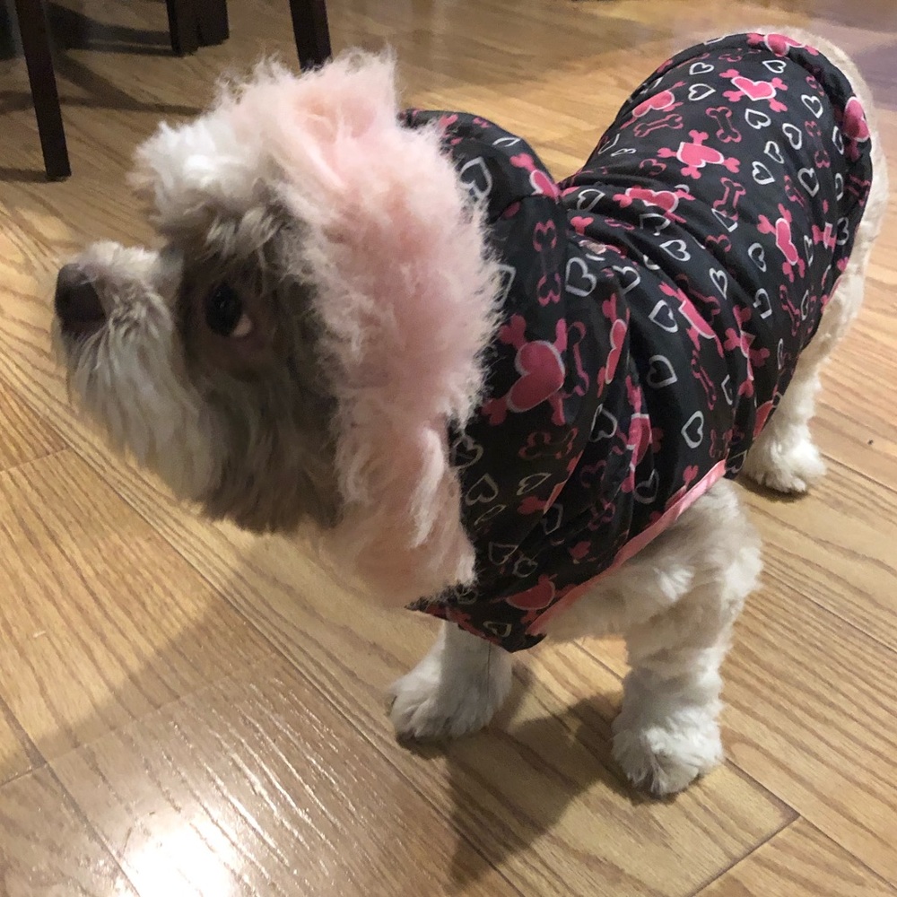Cold weather Reversible Fur Hooded Small Dog Vest